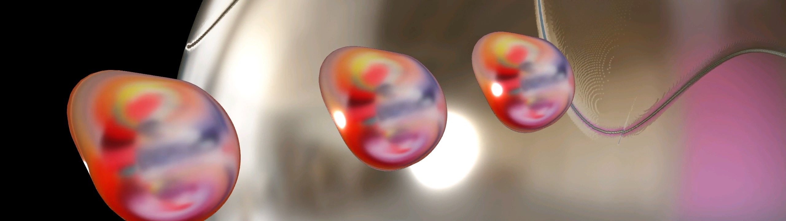 twp%20header.jpeg